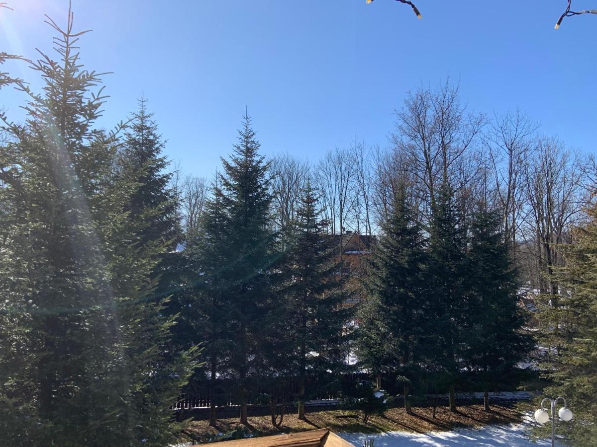 Ow Jaskolka Hotel Zakopane Bagian luar foto